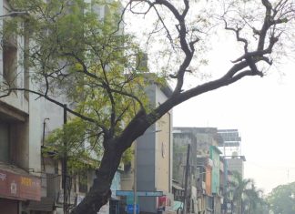 चार वर्षाच्या अधिरची थक्क करणारी कामगिरी..!