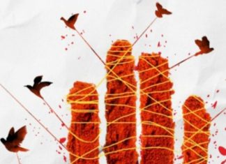 नायलॉन मांजा वापरून पतंग उडवताय…? तर सावधान..! होणार कठोर कारवाई…पोलिसांची ड्रोन द्वारे करडी नजर